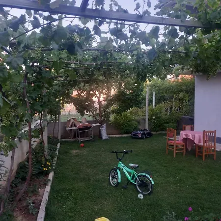 Dhoma Plazhi
